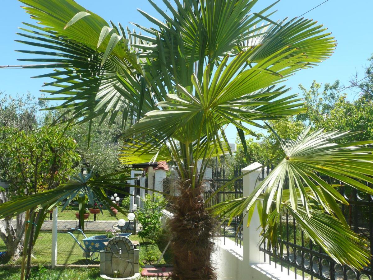 Kallikratia Holiday Flat 1 Nea Kallikrateia Екстериор снимка